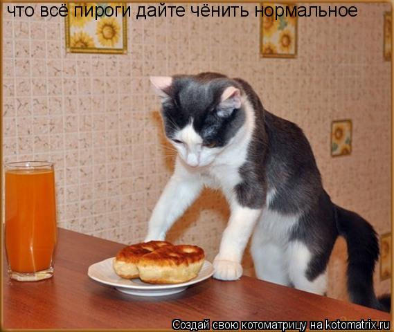Котоматрица: что всё пироги дайте чёнить нормальное