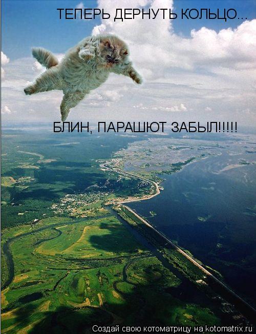 Котоматрица: ТЕПЕРЬ ДЕРНУТЬ КОЛЬЦО...   БЛИН, ПАРАШЮТ ЗАБЫЛ,,,, БЛИН, ПАРАШЮТ ЗАБЫЛ!!!!!