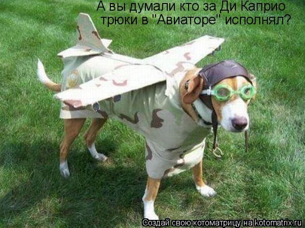 Котоматрица: А вы думали кто за Ди Каприо  трюки в "Авиаторе" исполнял?