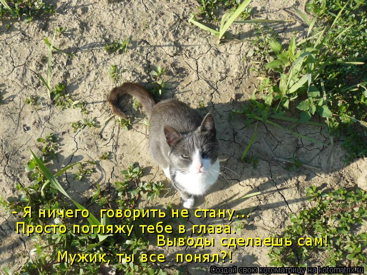 Котоматрица: - Я ничего  говорить не стану... Просто погляжу тебе в глаза. Выводы сделаешь сам! Мужик, ты все  понял?!