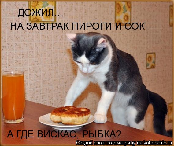 Котоматрица: ДОЖИЛ... НА ЗАВТРАК ПИРОГИ И СОК А ГДЕ ВИСКАС, РЫБКА?