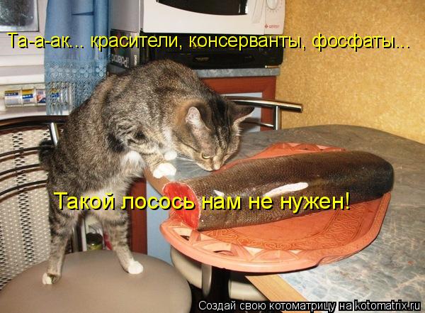 Та-а-ак... красители, консерванты, фосфаты... Такой лосось нам не нужен!... Котоматрица: Та-а-ак... красители, консерванты, фосфаты... Такой лосось нам не нужен!