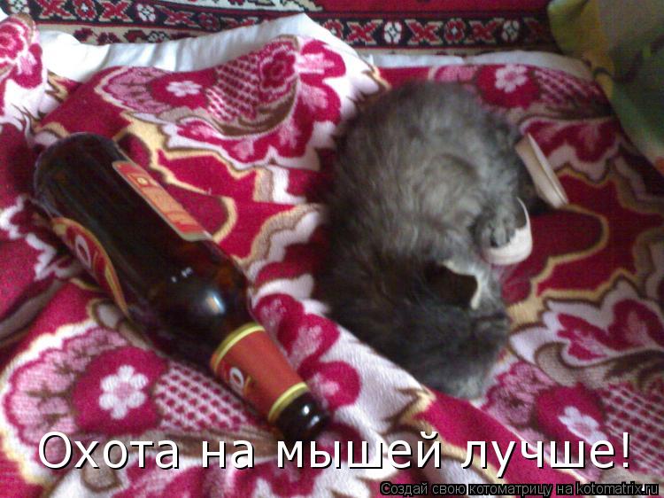 Охота на мышей лучше!... Котоматрица: Охота на мышей лучше!