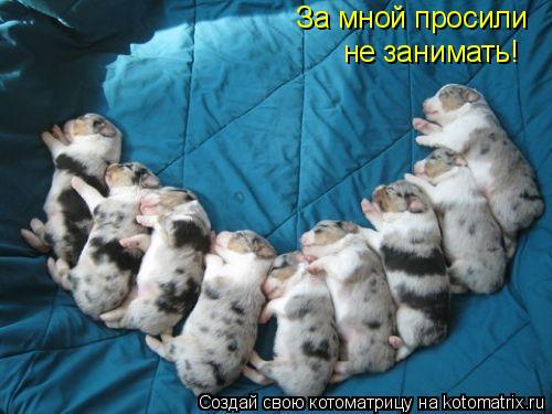За мной просили не занимать!... Котоматрица: За мной просили не занимать!