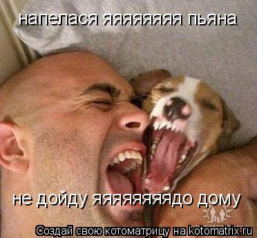 напелася яяяяяяяя пьяна не дойду яяяяяяяядо дому... Котоматрица: напелася яяяяяяяя пьяна не дойду яяяяяяяядо дому