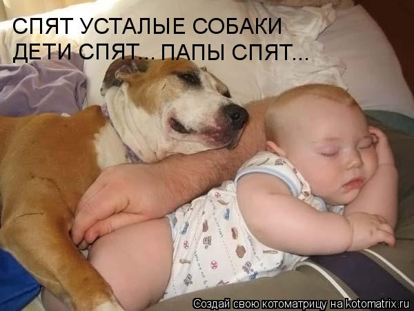 Котоматрица: СПЯТ УСТАЛЫЕ СОБАКИ ДЕТИ СПЯТ... ПАПЫ СПЯТ...