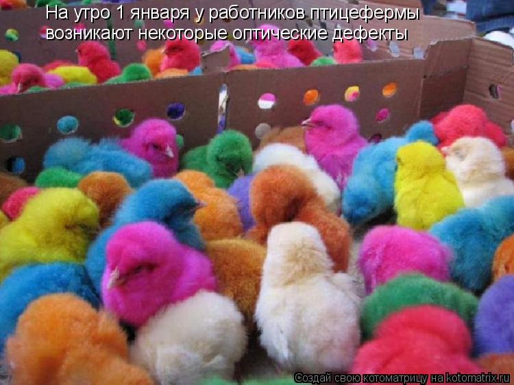 Котоматрица: На утро 1 января у работников птицефермы возникают некоторые оптические дефекты