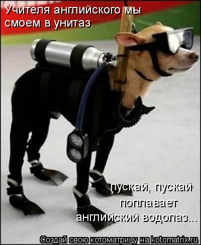 Котоматрица: Учителя английского мы смоем в унитаз английский водолаз... пускай, пускай поплавает
