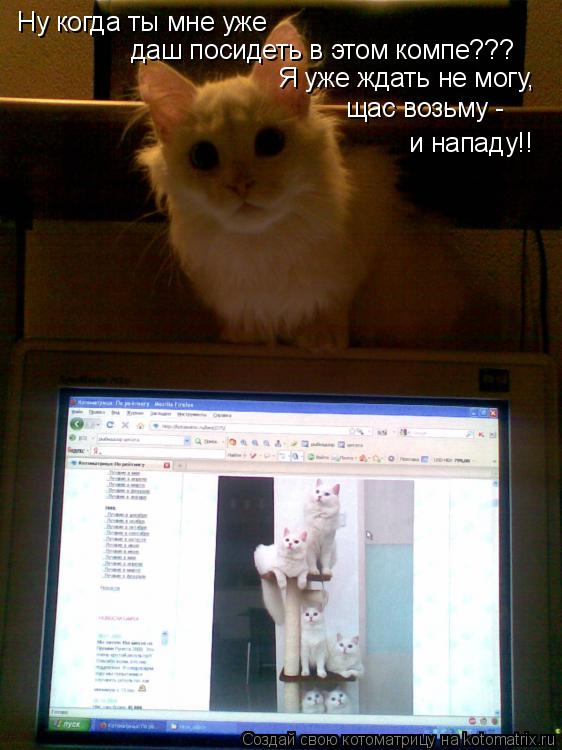Котоматрица: Ну когда ты мне уже  даш посидеть в этом компе??? Я уже ждать не могу, щас возьму -  и нападу!!