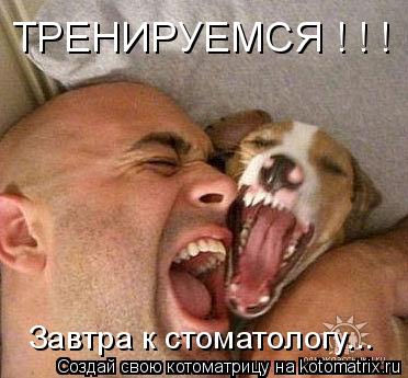 Котоматрица: ТРЕНИРУЕМСЯ ! ! ! Завтра к стоматологу...