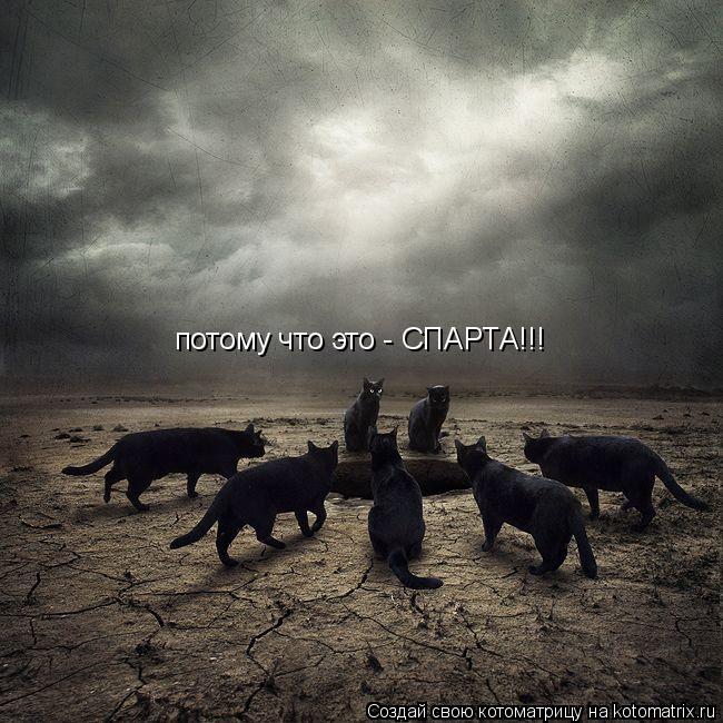Котоматрица: потому что это - СПАРТА!!!