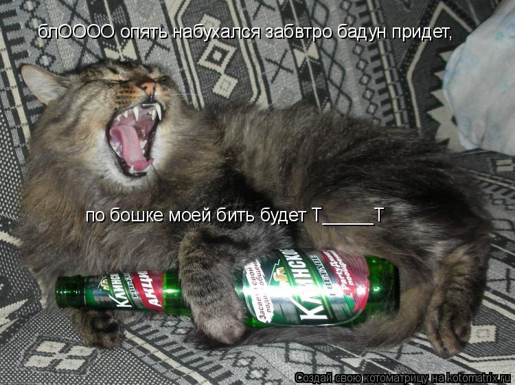 Котоматрица: блОООО опять набухался забвтро бадун придет, по бошке моей бить будет Т_____Т