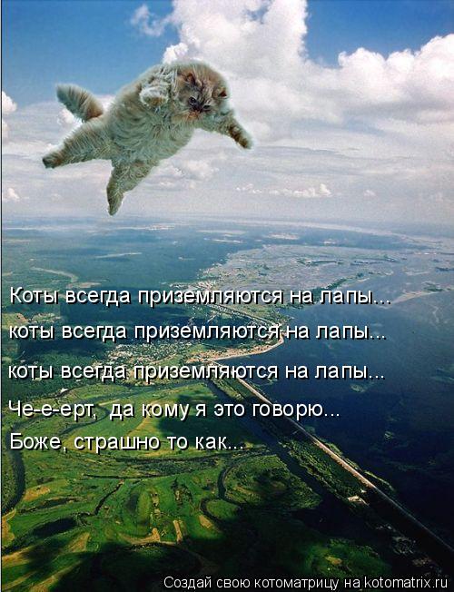 Коты всегда приземляются на лапы... коты всегда приземляются на лапы... коты всегда приземляются на л... Котоматрица: Коты всегда приземляются на лапы... коты всегда приземляются на лапы... коты всегда приземляются на лапы... Че-е-ерт, да кому я это говорю... Бож