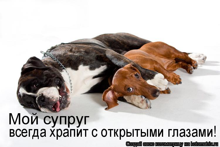 Котоматрица: Мой супруг  всегда храпит с открытыми глазами!