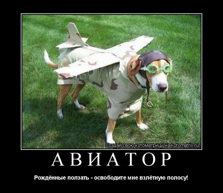 Котоматрица: АВИАТОР Рождённые ползать - освободите мне взлётную полосу!