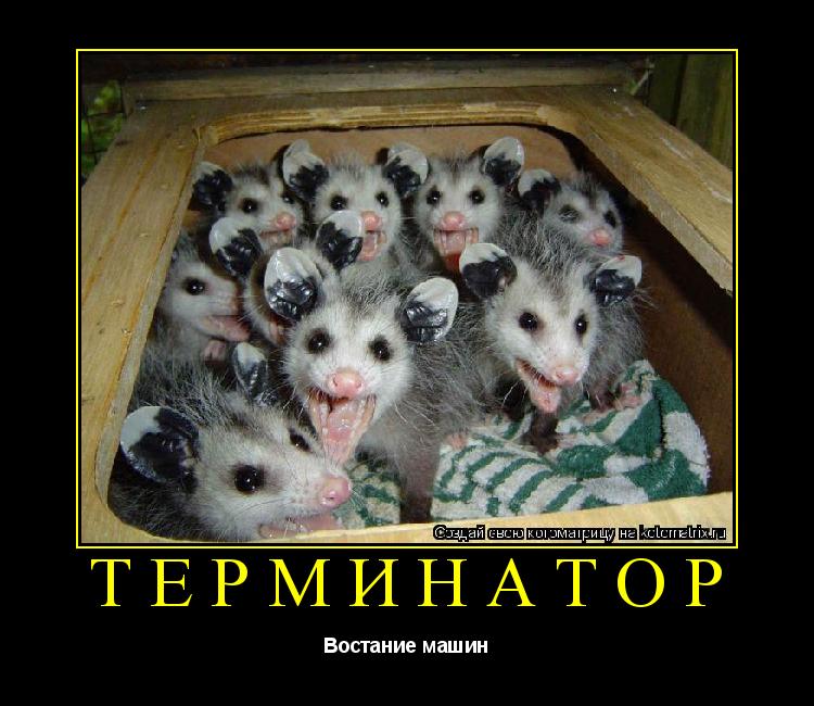 Котоматрица: Терминатор Востание машин