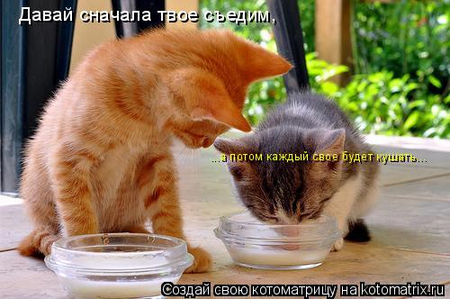 Котоматрица: Давай сначала твое съедим,  ...а потом каждый свое будет кушать...