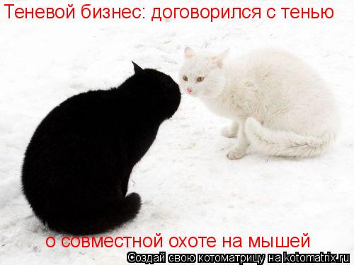 Котоматрица: Теневой бизнес: договорился с тенью  о совместной охоте на мышей