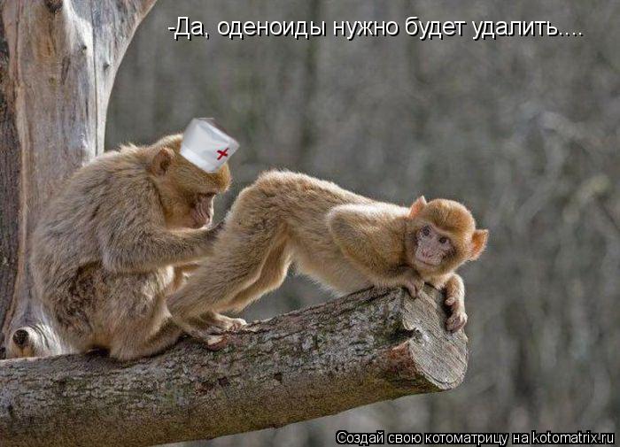 Котоматрица: -Да, оденоиды нужно будет удалить....