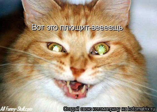 Котоматрица: Вот это плющит-веееещь