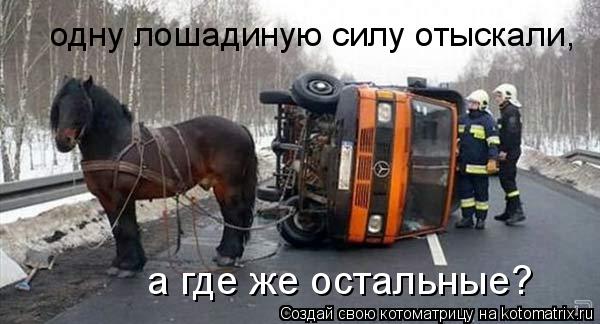 одну лошадиную силу отыскали, а где же остальные?... Котоматрица: одну лошадиную силу отыскали, а где же остальные?