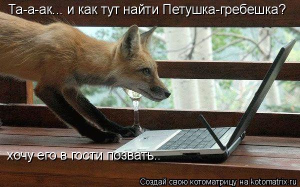 Котоматрица: Та-а-ак... и как тут найти Петушка-гребешка? хочу его в гости позвать..