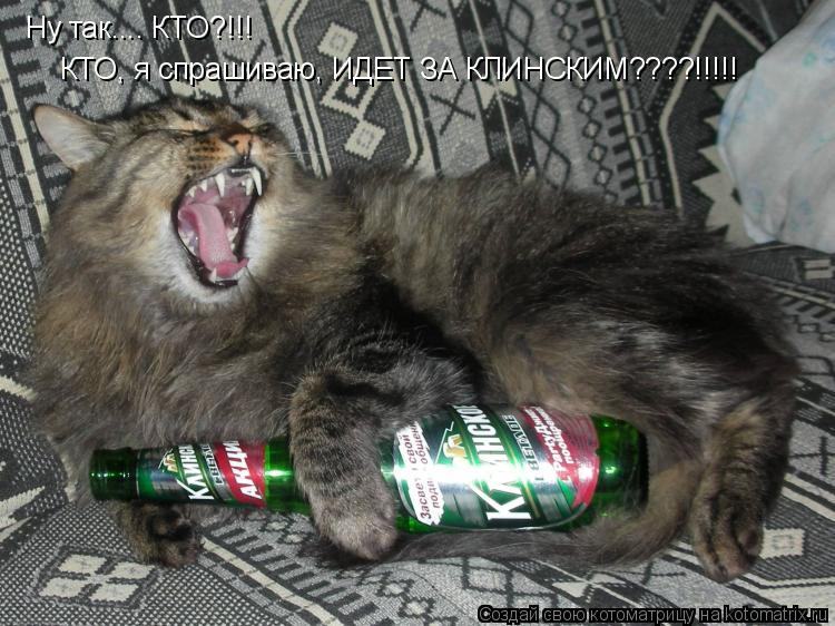 Котоматрица: Ну так.... КТО?!!! КТО, я спрашиваю, ИДЕТ ЗА КЛИНСКИМ????!!!!!