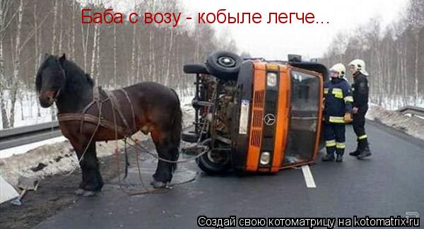 Котоматрица: Баба с возу - кобыле легче...