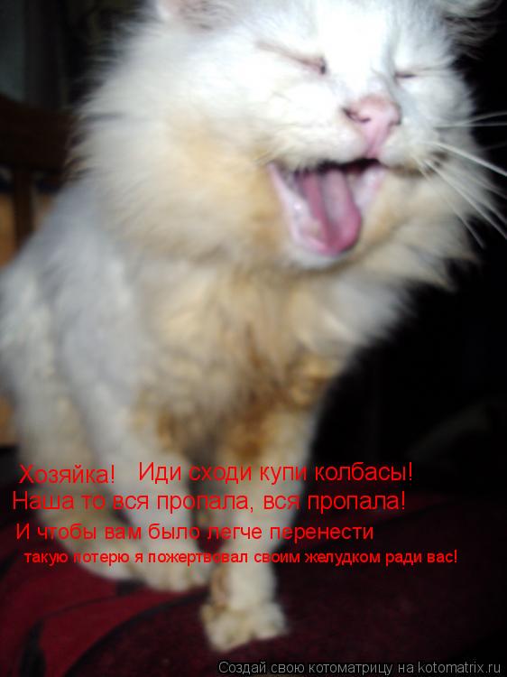Котоматрица: Хозяйка! Иди сходи купи колбасы! Наша то вся пропала, вся пропала! И чтобы вам было легче перенести  такую потерю я пожертвовал своим желудко