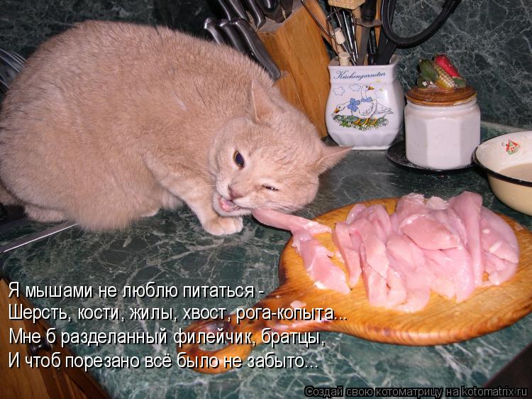 Котоматрица: Я мышами не люблю питаться - Шерсть, кости, жилы, хвост, рога-копыта... Мне б разделанный филейчик, братцы, И чтоб порезано всё было не забыто...