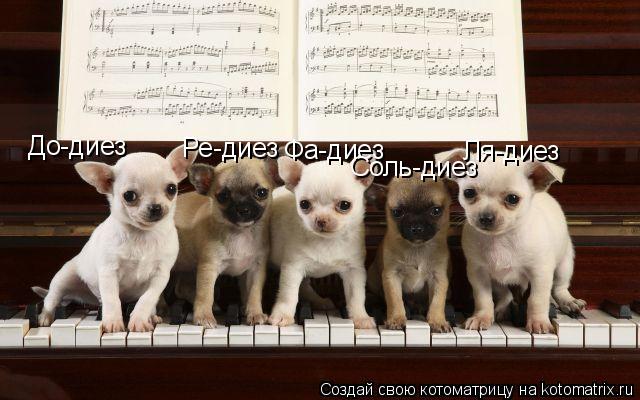 Котоматрица: До-диез Ре-диез Фа-диез Соль-диез Ля-диез