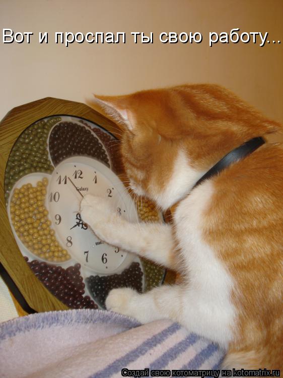 Котоматрица: Вот и проспал ты свою работу...