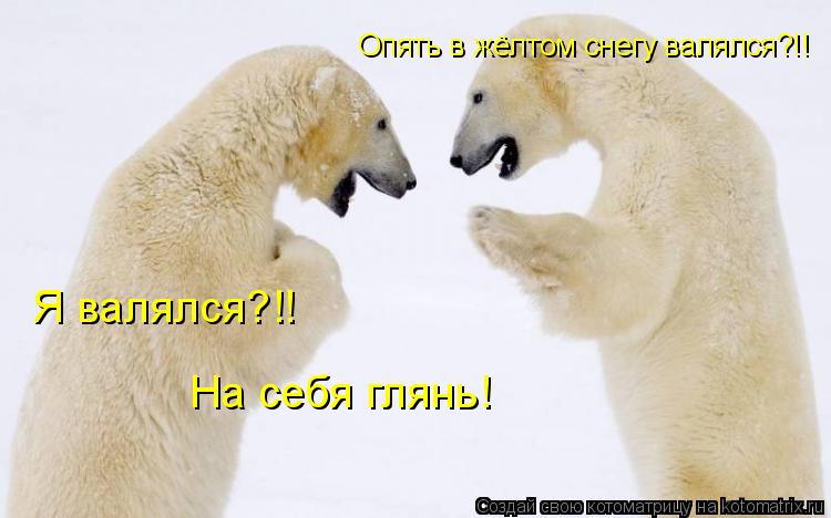 Котоматрица: Опять в жёлтом снегу валялся?!! Я валялся?!! На себя глянь!
