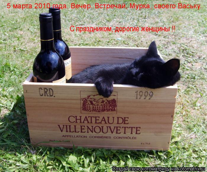 5 марта 2010 года. Вечер. Встречай, Мурка, своего Ваську. С праздником, дорогие женщины !!... Котоматрица: 5 марта 2010 года. Вечер. Встречай, Мурка, своего Ваську. С праздником, дорогие женщины !!