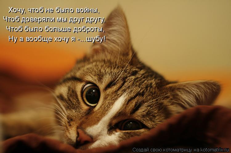 Котоматрица: Чтоб было больше доброты,    Хочу, чтоб не было войны,    Ну а вообще хочу я -...шубу! Чтоб доверяли мы друг другу,
