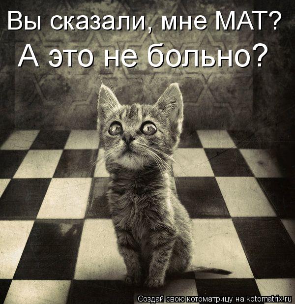 Вы сказали, мне МАТ? А это не больно?... Котоматрица: Вы сказали, мне МАТ? А это не больно?