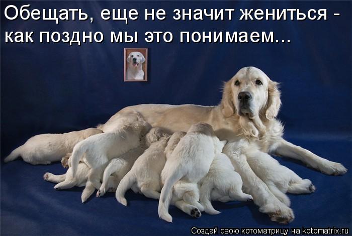 Котоматрица: Обещать, еще не значит жениться - как поздно мы это понимаем...