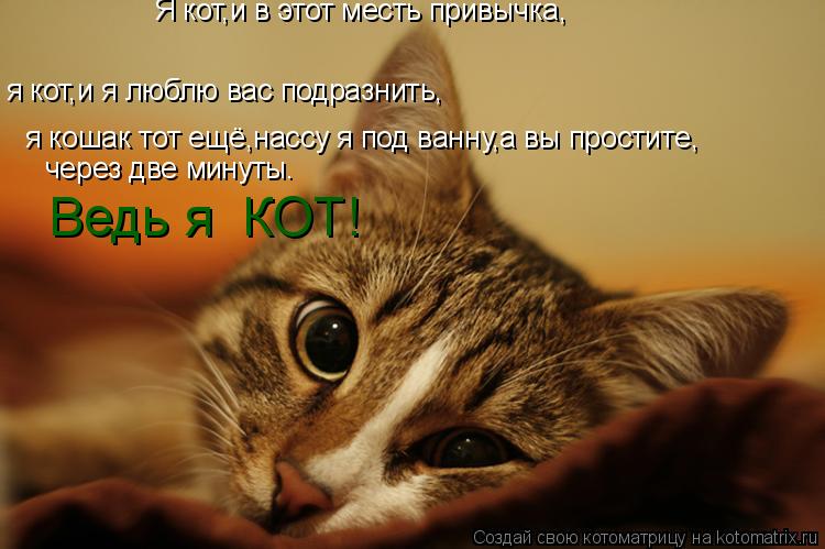 Котоматрица: Я кот,и в этот месть привычка, я кот,и я люблю вас подразнить, я кошак тот ещё,нассу я под ванну,а вы простите, через две минуты. Ведь я  КОТ!