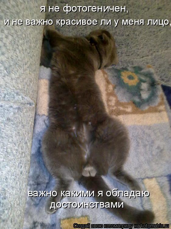 важно какими я обладаю достоинствами я не фотогеничен, и не важно красивое ли у меня лицо,... Котоматрица: важно какими я обладаю достоинствами я не фотогеничен, и не важно красивое ли у меня лицо,