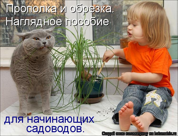 Котоматрица: Прополка и обрезка. Наглядное пособие  садоводов. для начинающих