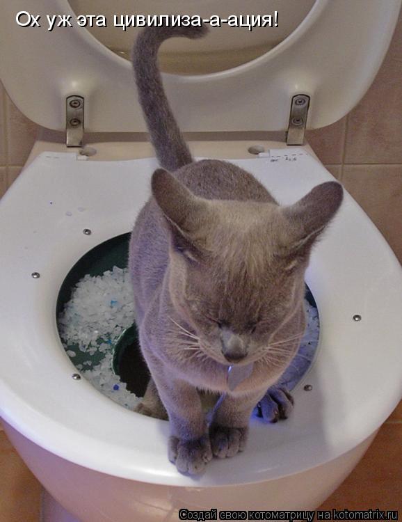 Котоматрица: Ох уж эта цивилиза-а-ация!