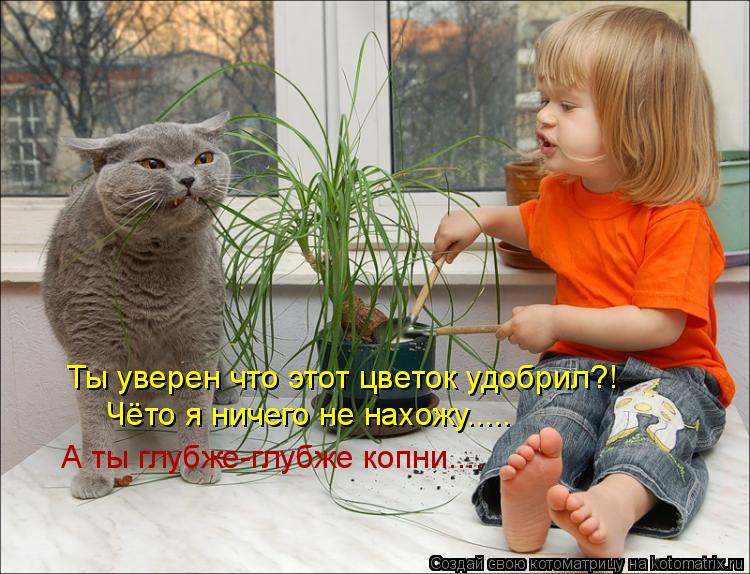 Котоматрица: Ты уверен что этот цветок удобрил?!  Чёто я ничего не нахожу..... А ты глубже-глубже копни....