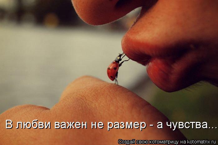 Котоматрица: В любви важен не размер - а чувства...