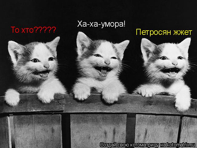 Котоматрица: Ха-ха-умора! Петросян жжет То хто?????