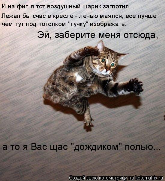 Котоматрица: И на фиг, я тот воздушный шарик заглотил... Лежал бы счас в кресле - ленью маялся, всё лучше а то я Вас щас "дождиком" полью... чем тут под потолко