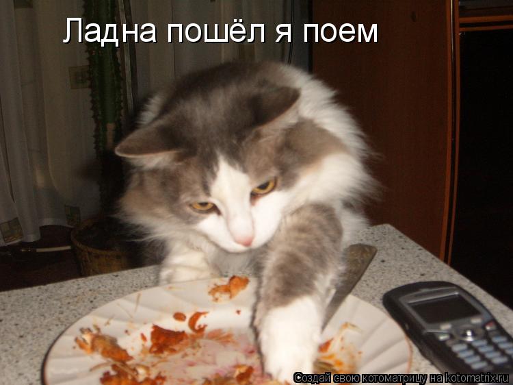 Котоматрица: Ладна пошёл я поем