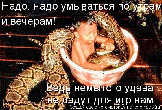 Котоматрица: Надо, надо умываться по утрам  и вечерам! Ведь немытого удава не дадут для игр нам...
