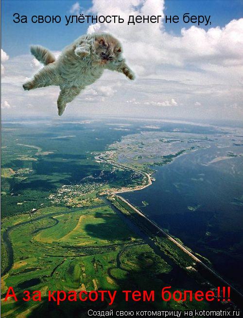 Котоматрица: За свою улётность денег не беру, А за красоту тем более!!!