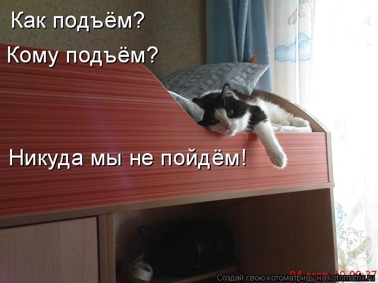 Котоматрица: Как подъём? Кому подъём? Как подъём?  Кому подъём?  Никуда мы не пойдём!