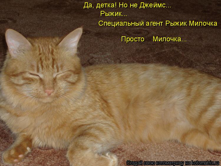 Котоматрица: Да, детка! Но не Джеймс... Рыжик...  Специальный агент Рыжик Милочка Просто    Милочка...
